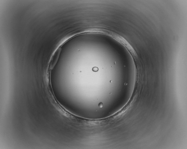 X0000111670908200907171611