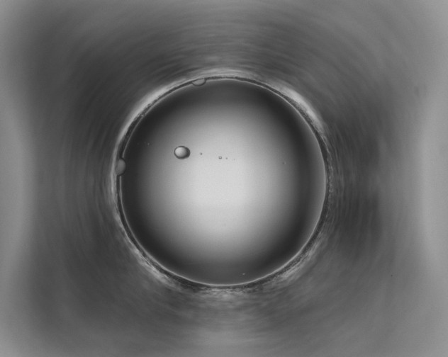 X0000111670910200907171611