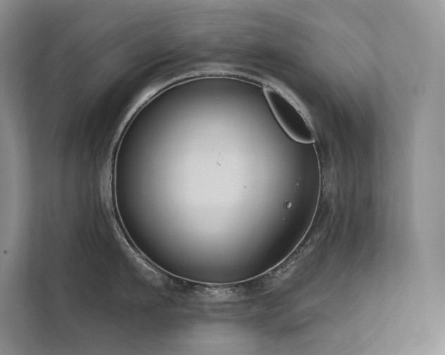 X0000111670911200907171611