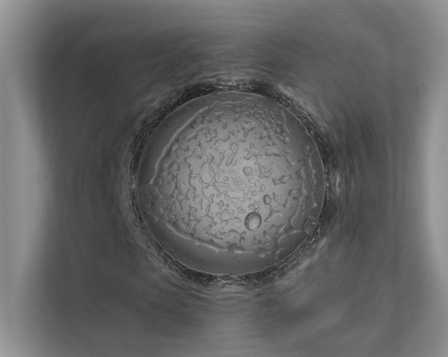 X0000111670913200907171610