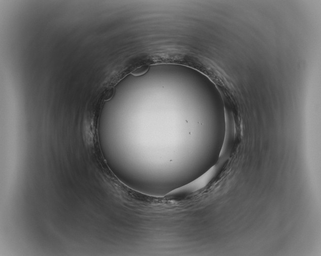 X0000111670915200907171610