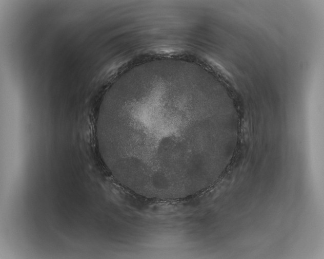 X0000111670917200907171610