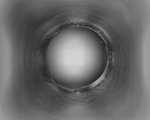 X0000111670919200907171610