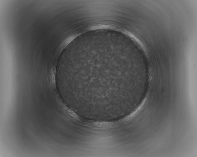 X0000111670921200907171610