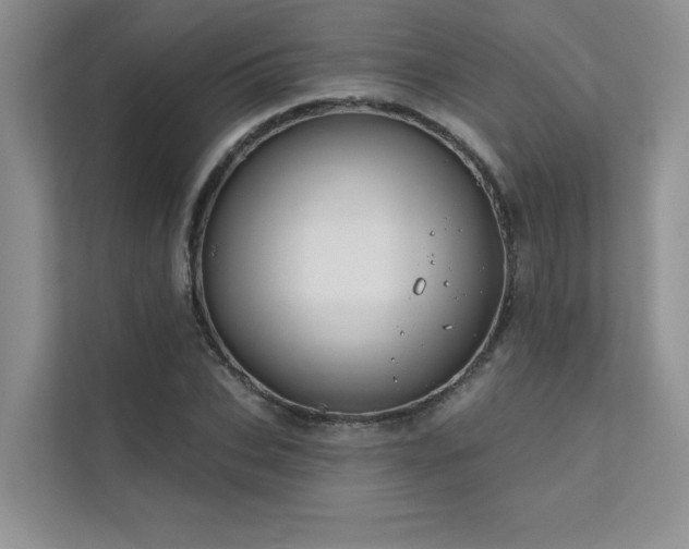 X0000111670927200907171610