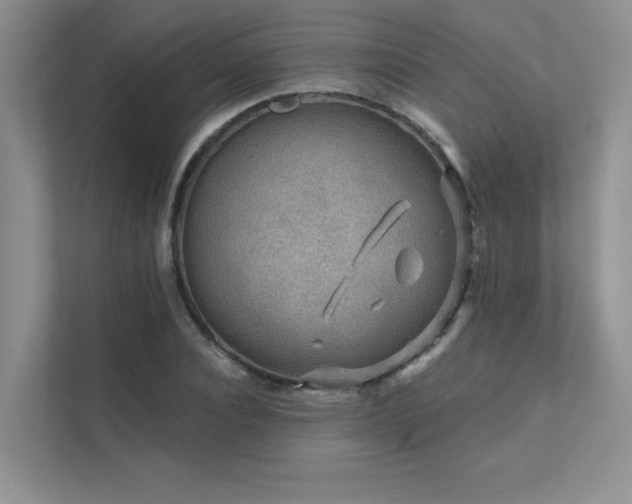 X0000111670928200907171610