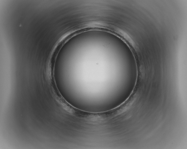 X0000111670931200907171610