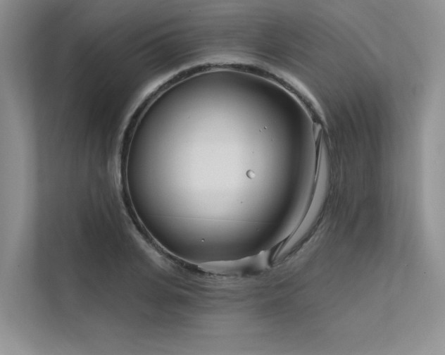 X0000111670935200907171610