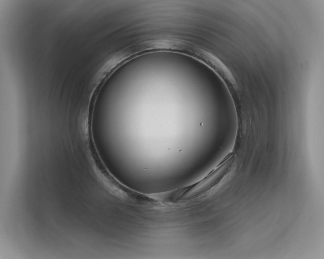 X0000111670938200907171611