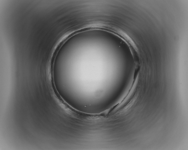 X0000111670939200907171611