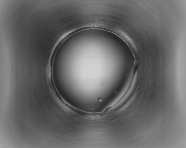 X0000111670940200907171611