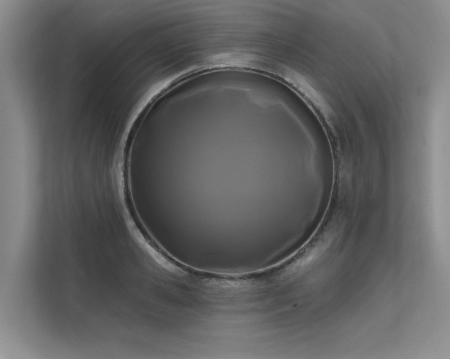 X0000111670941200907171611