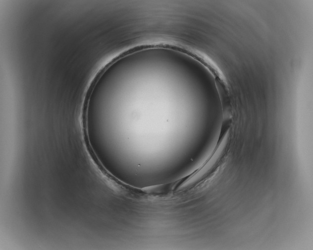 X0000111670943200907171611