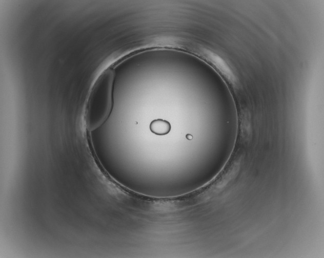 X0000111670944200907171611