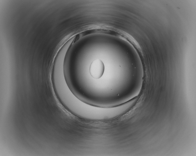 X0000111670946200907171611