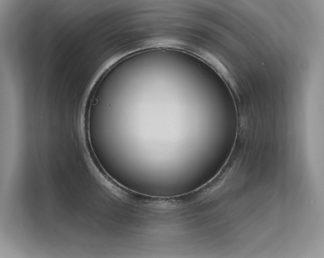 X0000111670947200907171611