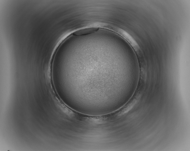 X0000111670948200907171611