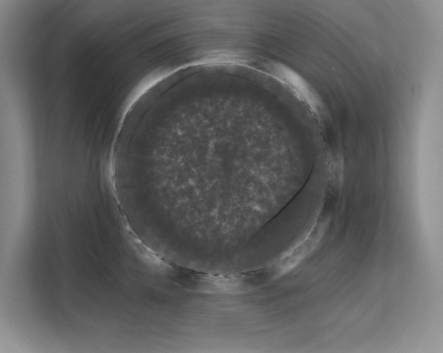 X0000111670952200907171611