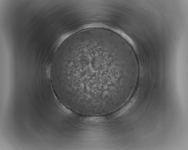 X0000111670953200907171611