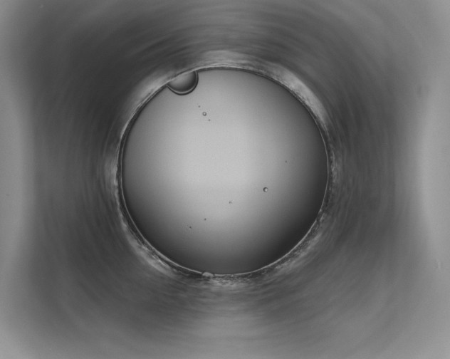 X0000111670954200907171611