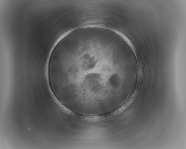 X0000111670957200907171611