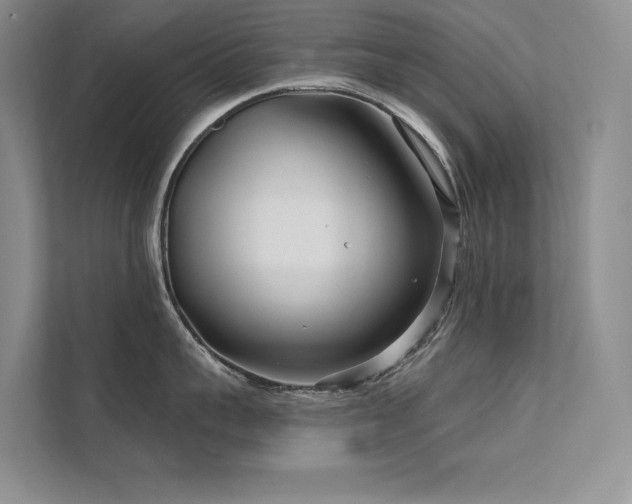 X0000111670959200907171611