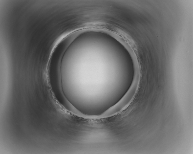 X0000111670960200907171611