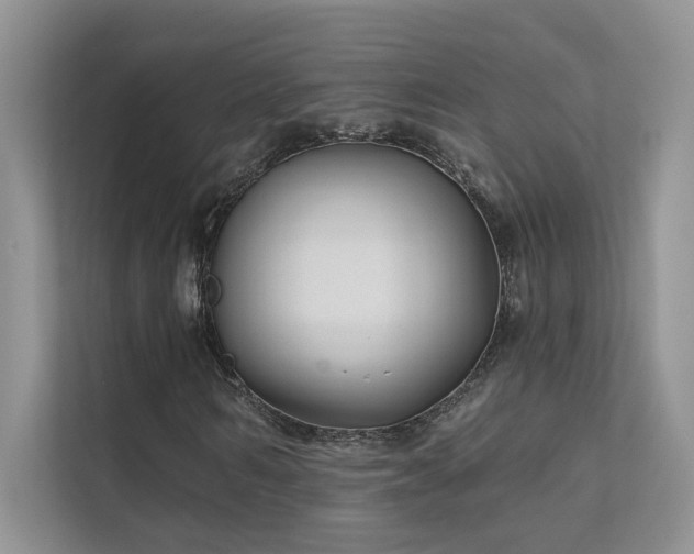 X0000111670962200907171610