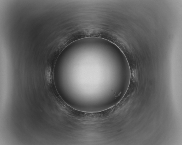 X0000111670963200907171610