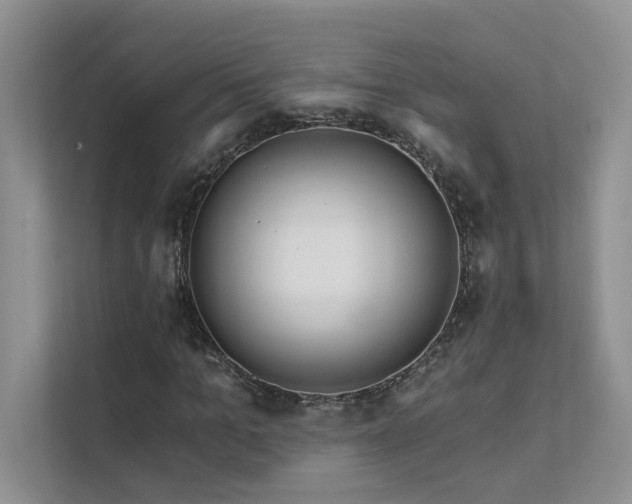 X0000111670965200907171610