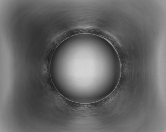 X0000111670966200907171610