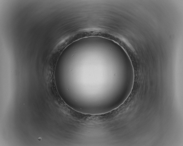 X0000111670967200907171610