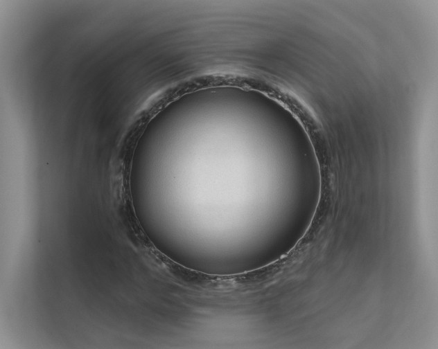 X0000111670968200907171610