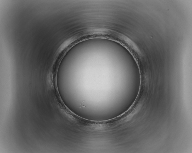 X0000111670970200907171610