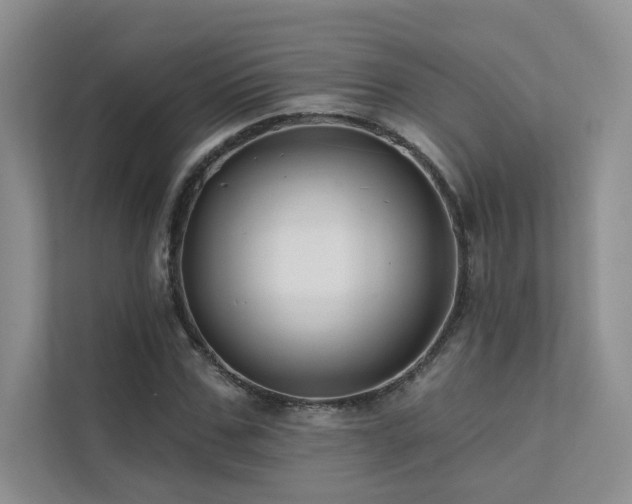 X0000111670971200907171610