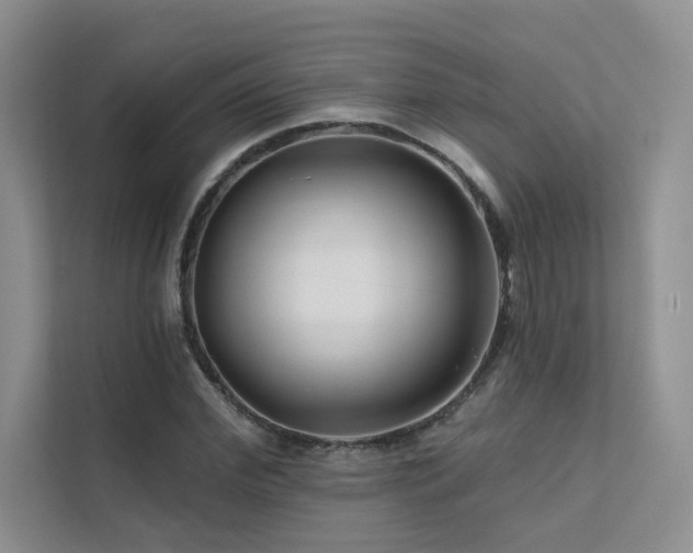 X0000111670972200907171610