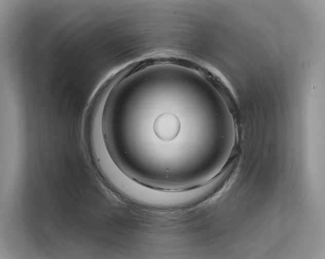 X0000111670973200907171610