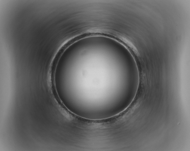 X0000111670976200907171610