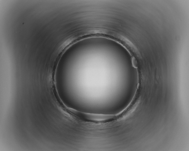 X0000111670977200907171610