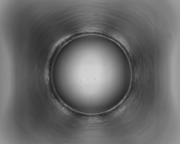 X0000111670979200907171610