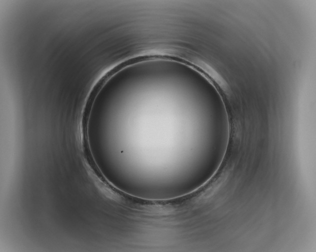 X0000111670980200907171610