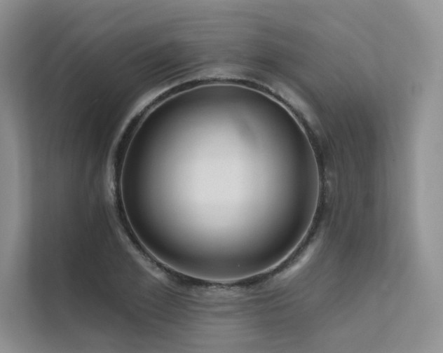 X0000111670981200907171610