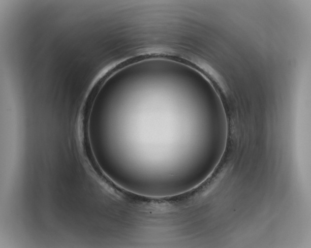 X0000111670983200907171610