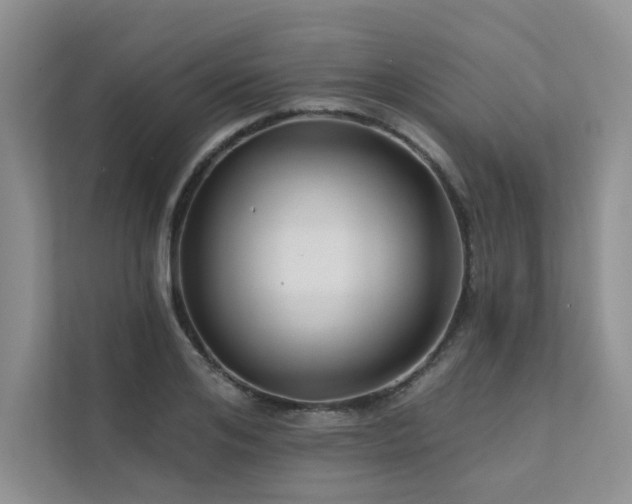 X0000111670984200907171610