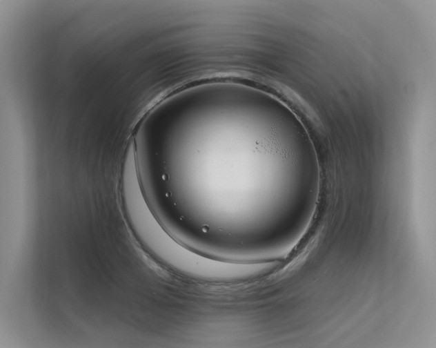 X0000111670985200907171610