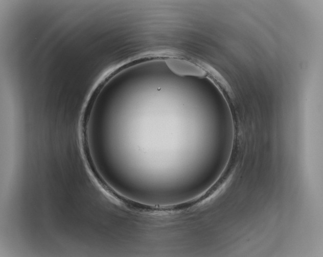 X0000111670989200907171610