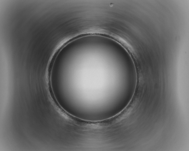 X0000111670990200907171610