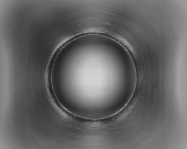 X0000111670991200907171610