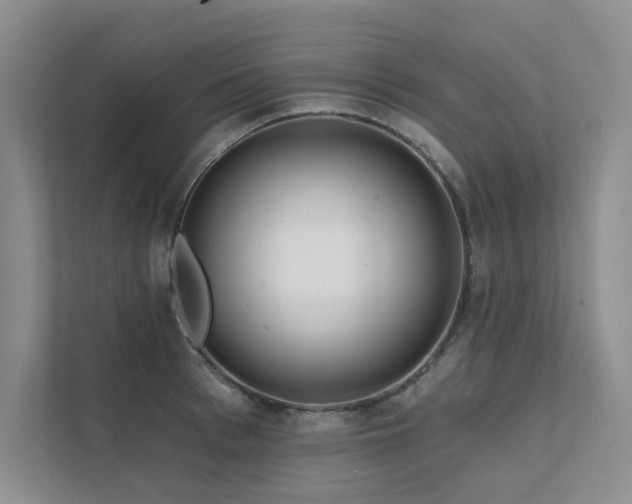 X0000111670993200907171610