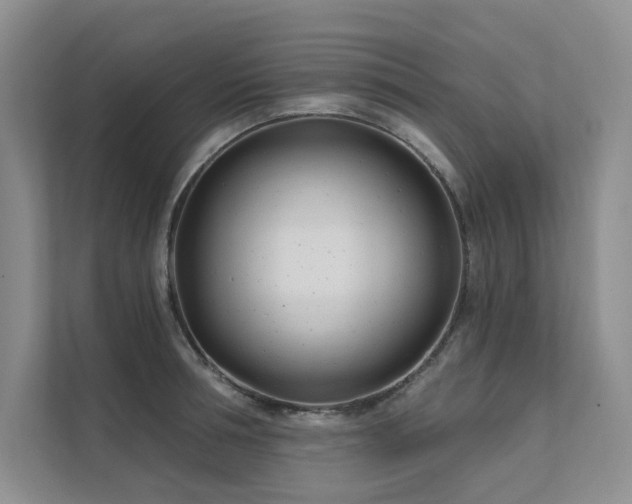 X0000111670994200907171610